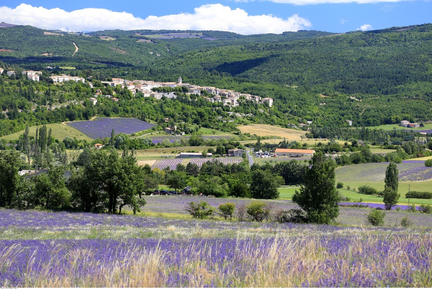 Le Mont Ventoux Le Mont Ventoux